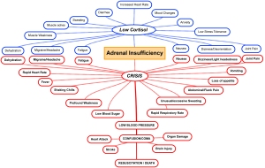 Low Cortisol or Adrenal Crisis